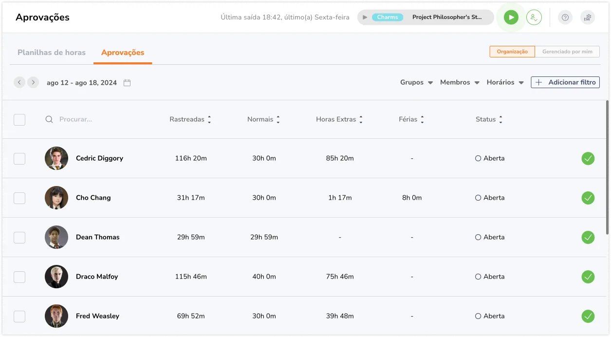 Approval pay period timesheet overview