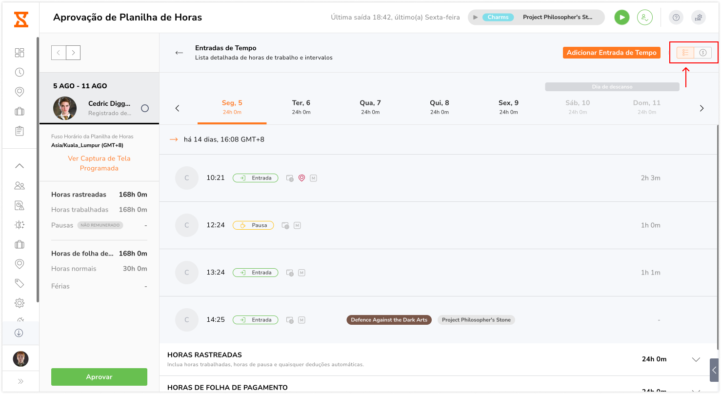 Approval view time entries tab