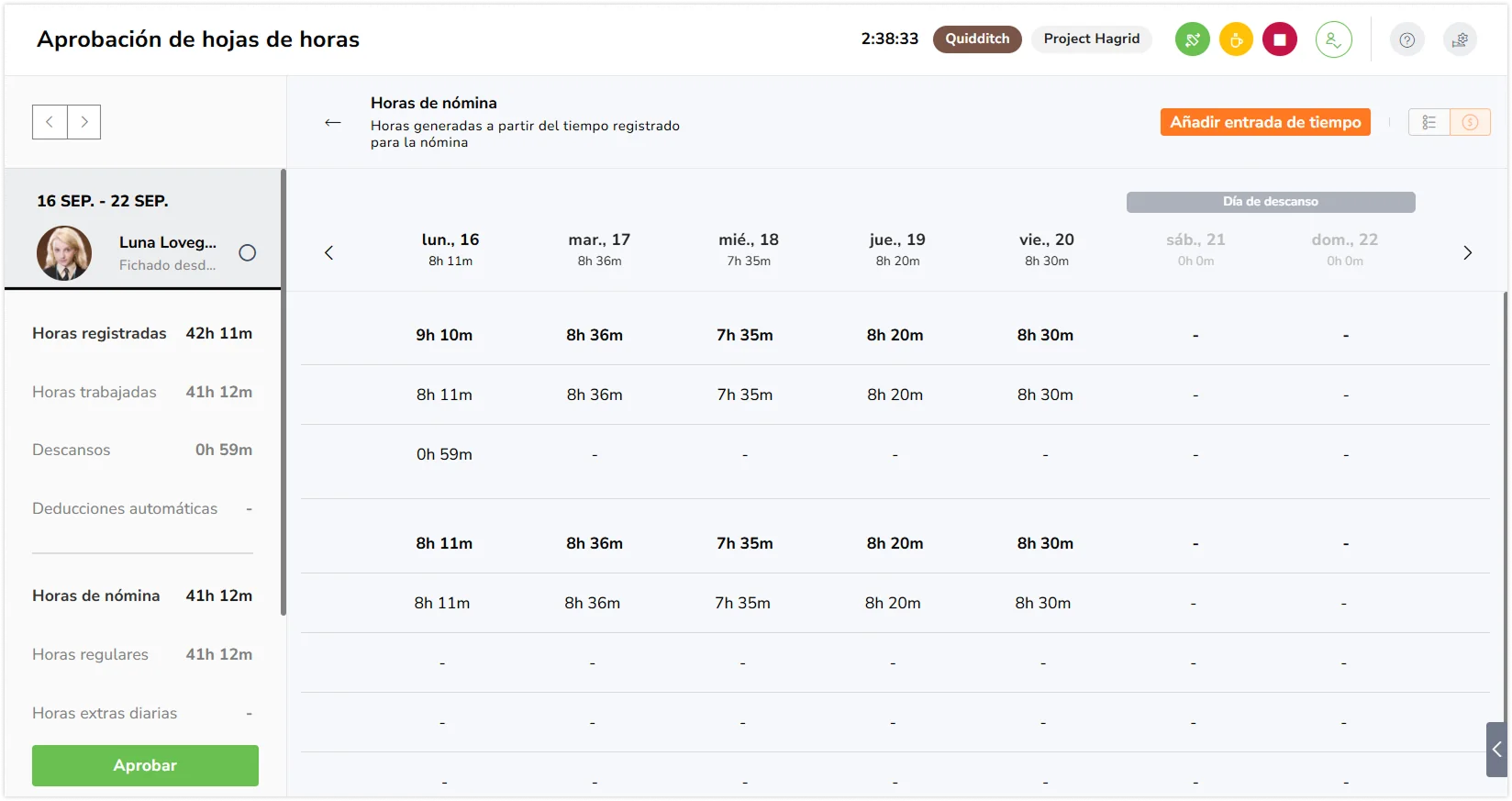 Detailed pay period timesheet