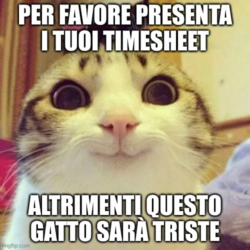 Un grazioso gatto che ti ricorda di inviare i timesheet.