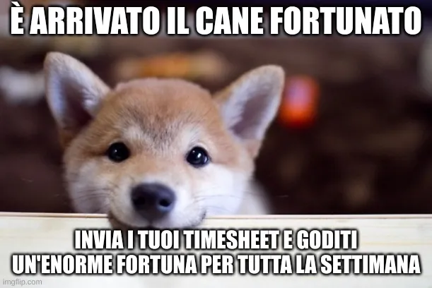 "È arrivato il cane fortunato. Invia i tuoi timesheet e goditi un'enorme fortuna per tutta la settimana".