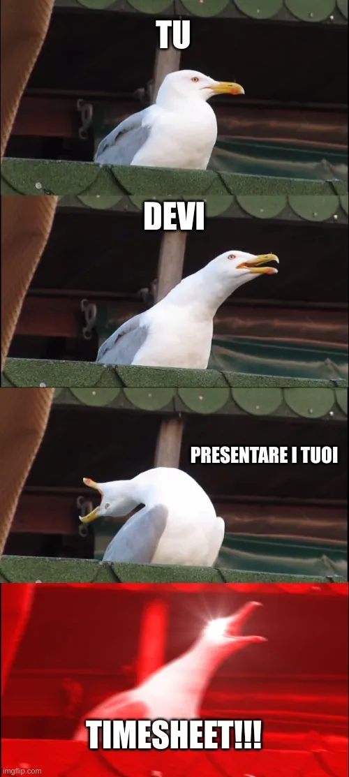 Gabbiano urlante che dice: "Tu devi presentare i tuoi timesheet!!!".