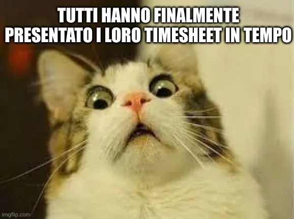 Gatto scioccato dal fatto che finalmente tutti presentano il proprio timesheet in tempo.