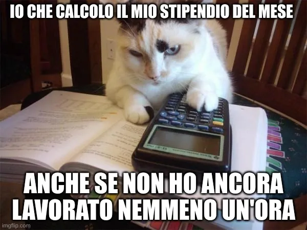 Meme sui timesheet del gatto che usa la calcolatrice.