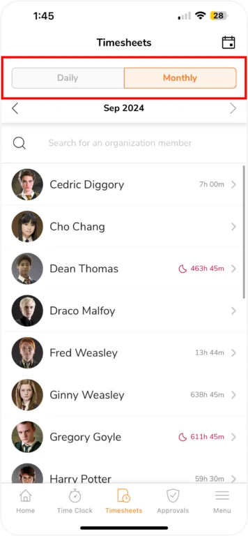 Timesheet Daily & Monthly Selection on Mobile