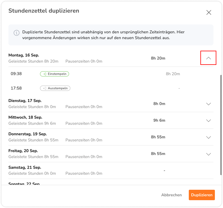 Editing duplicated timesheet for individual entries 