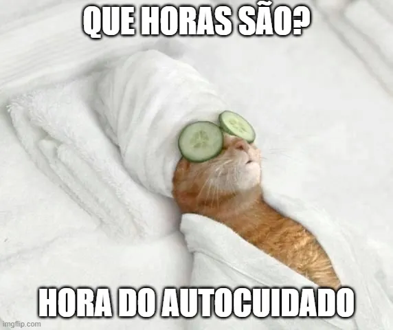 Meme que diz "Que horas são? Hora do autocuidado". A imagem é um gato laranja com rodela de pepino nos olhos e vestido como se estivesse em um SPA