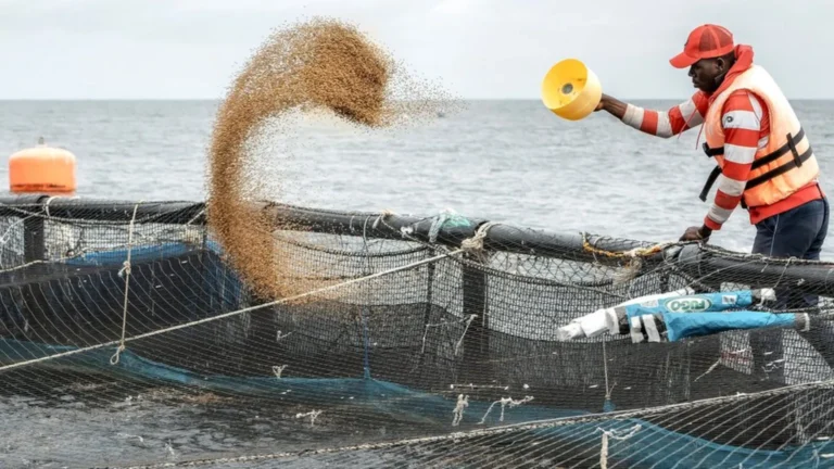 Man fish farming in Africa